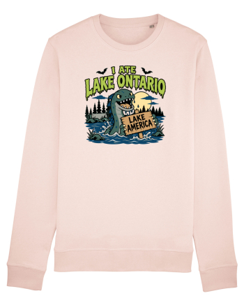 I Ate Lake Ontario Halloween Lake Monsters Funny Candy Pink