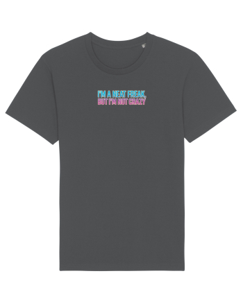I`M A NEAT FREAK, BUT I`M NOT CRAZY - Sunt obsedat/a de curatenie 2 Anthracite