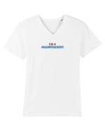 I`M A PALEONTOLOGIST Tricou mânecă scurtă guler V Bărbat Presenter