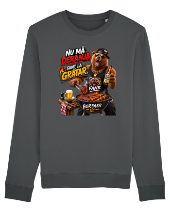 FANE – Nu mă deranja. Sunt la grătar! Anthracite