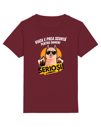 Viața e prea scurta pentru oameni serioși  Burgundy