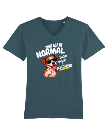 Sunt așa de normal..... Stargazer