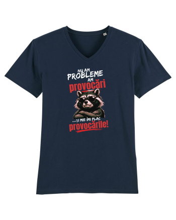 Nu am probleme...am provocări  French Navy