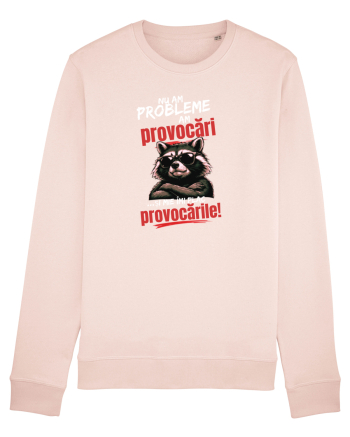 Nu am probleme...am provocări  Candy Pink