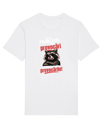 Nu am probleme...am provocări  White