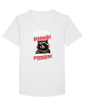 Nu am probleme...am provocări  White