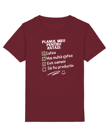 Planul meu pentru azi Burgundy