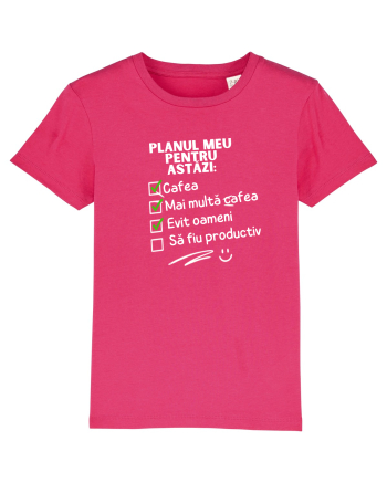 Planul meu pentru azi Raspberry