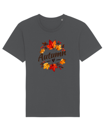Autumn  Anthracite