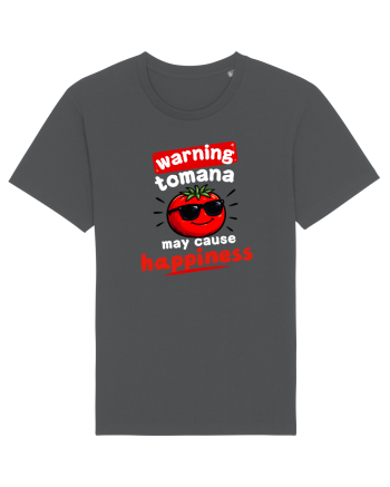 Tomana  Anthracite
