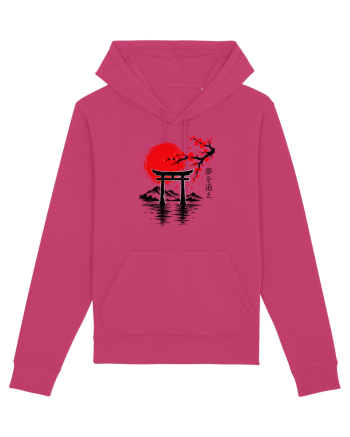 Japonia  Raspberry