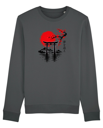 Japonia  Anthracite