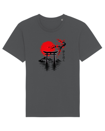 Japonia  Anthracite