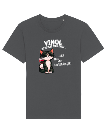 Vinul nu rezolvă problemele ... Dar nici nu le înrăutățește. Tricou mânecă scurtă Unisex Rocker
