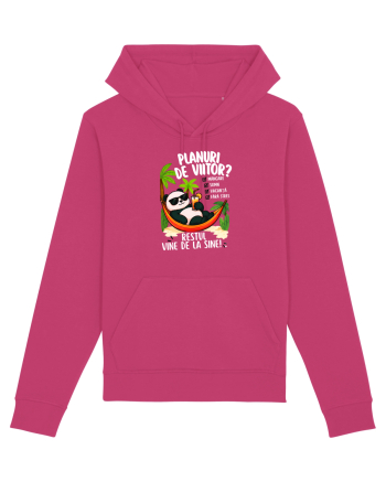Planuri de viitor? Raspberry