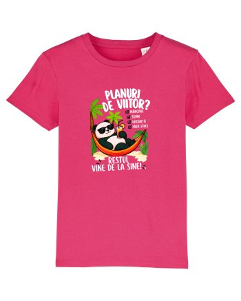 Planuri de viitor? Raspberry