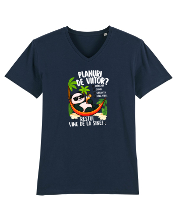 Planuri de viitor? French Navy