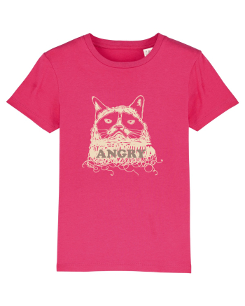 Angry Cat Raspberry