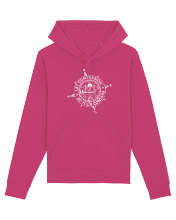 Compass Raspberry