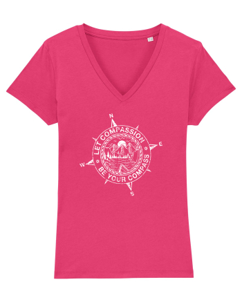 Compass Raspberry