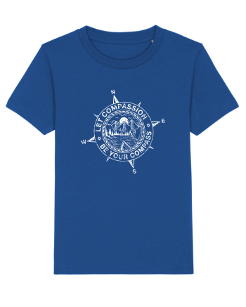 Compass Majorelle Blue