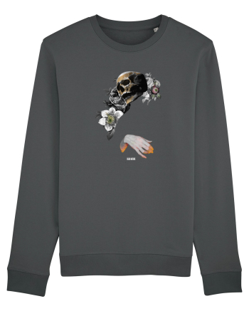 Dead Nature  Anthracite