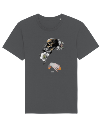 Dead Nature  Anthracite