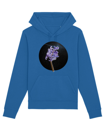 Zambila  Royal Blue