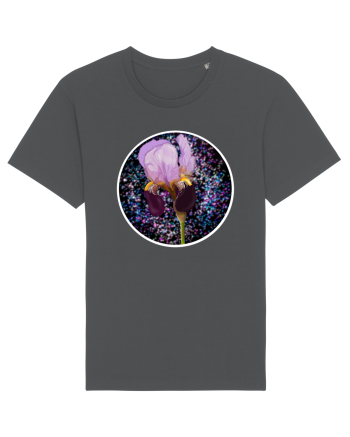 iris Anthracite