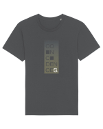 - coincidences dark - Tricou mânecă scurtă Unisex Rocker