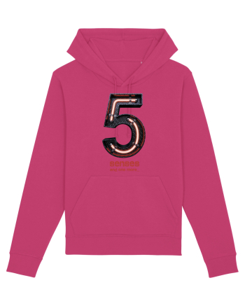 5 senses Raspberry