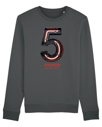 5 senses Anthracite