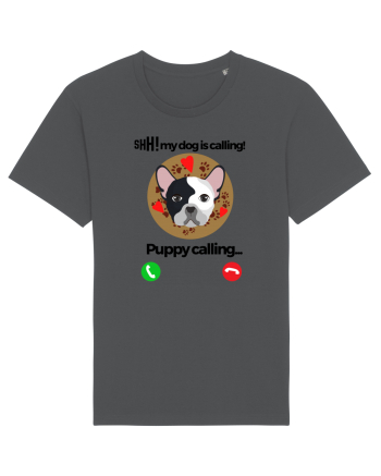 Shh! My dog is calling! Anthracite