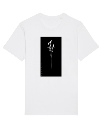 Lavanda White