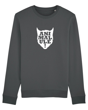 Animalule Anthracite