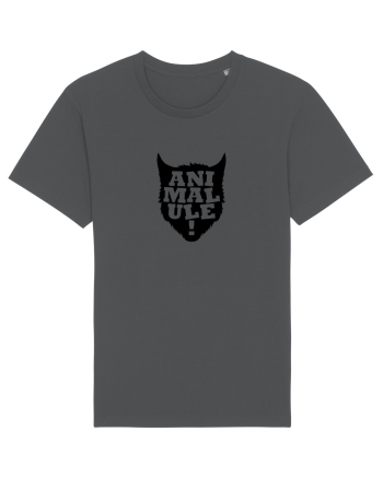 Animalule Anthracite