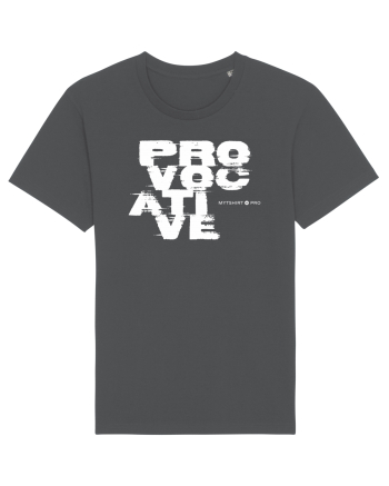 provocative design style Anthracite