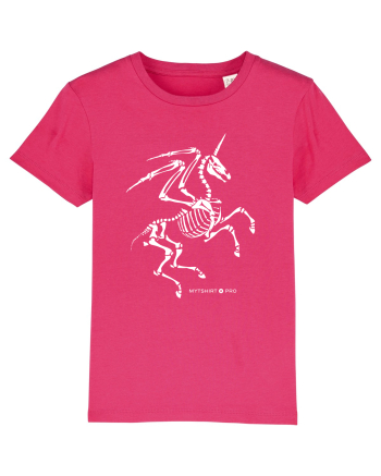 unicorn Raspberry