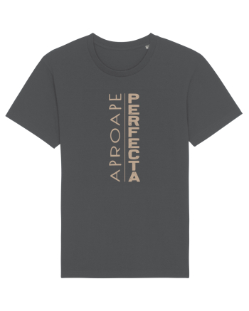 Aproape PERFECTA ! Anthracite