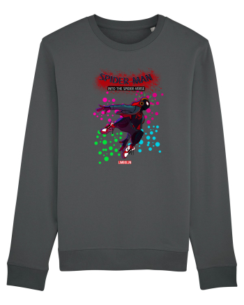 Spider-Man Into The Spider Verse  Anthracite