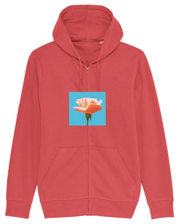 Pure Rose  Carmine Red