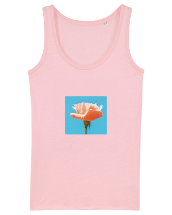 Pure Rose  Cotton Pink