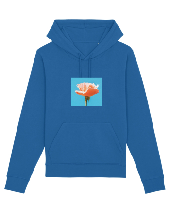 Pure Rose  Royal Blue