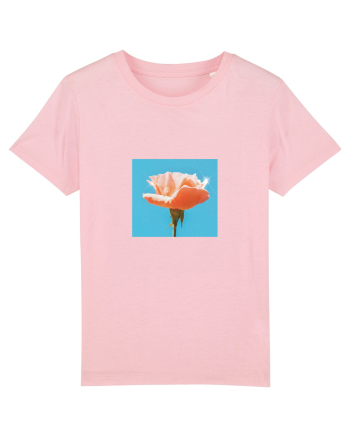 Pure Rose  Cotton Pink