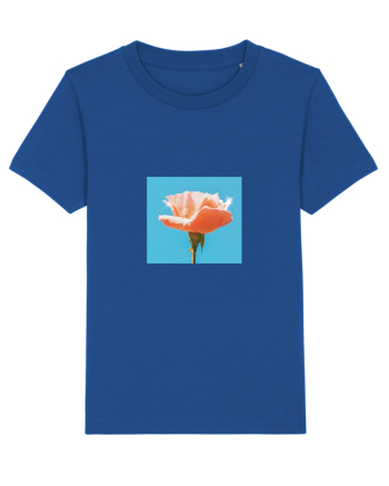 Pure Rose  Majorelle Blue