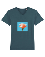 Pure Rose  Tricou mânecă scurtă guler V Bărbat Presenter