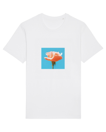 Pure Rose  White