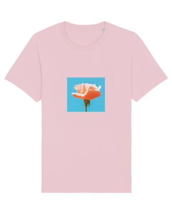 Pure Rose  Cotton Pink