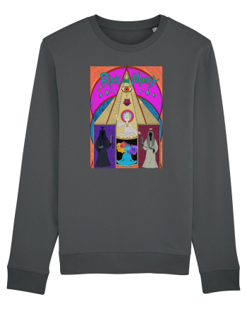 Rick and Morty multiverse Anthracite
