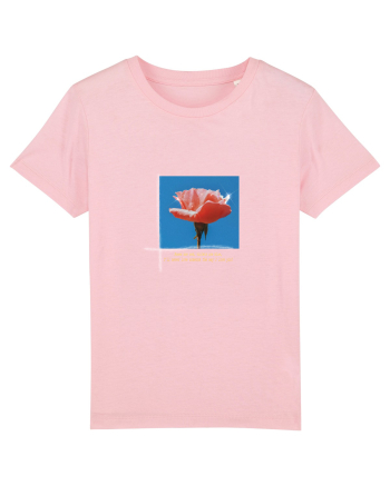 Pure Rose  Cotton Pink